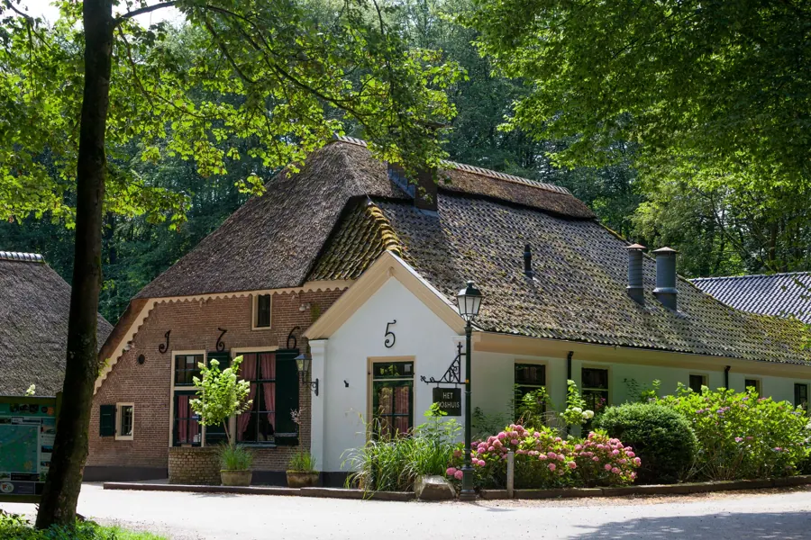 Boerderij met rieten kap tussen de bomen in het Gooi