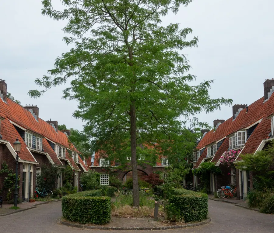 Rustig hofje met rode bakstenen huizen en een grote boom in Amersfoort